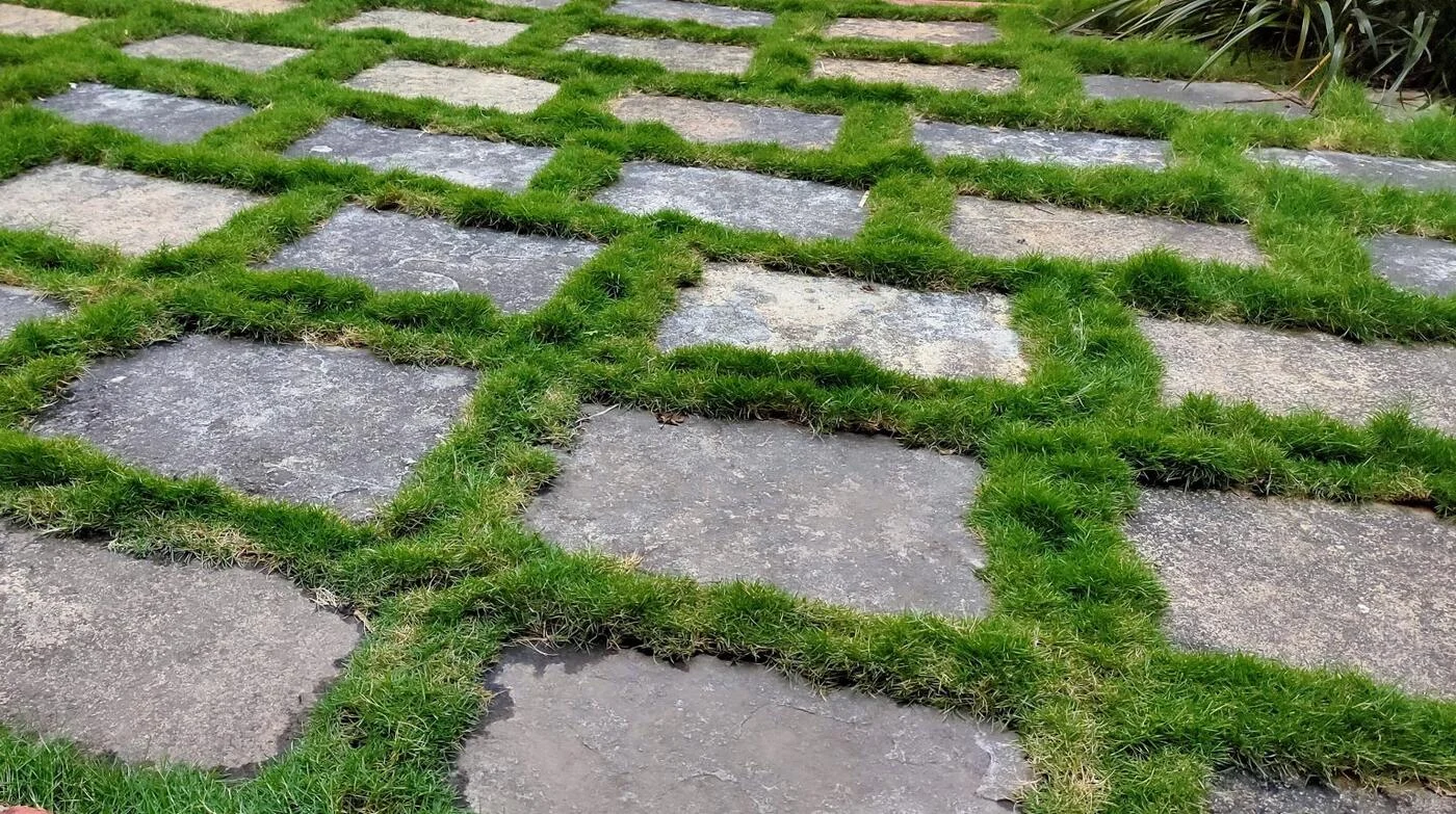 Square concrete pavers set in a checkerboard pattern with grass joints