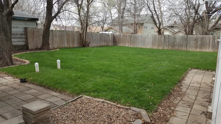 Four Star Lawn Care photo 4