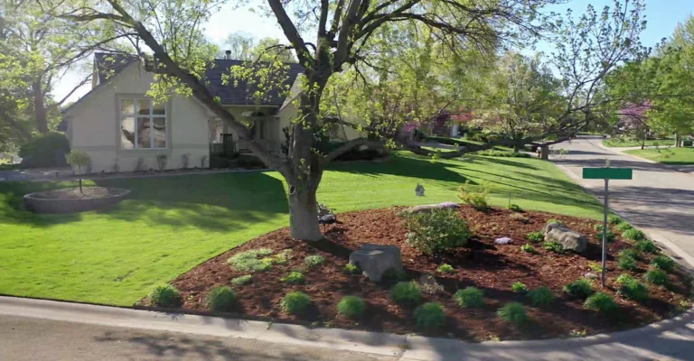 Four Star Lawn Care photo 7
